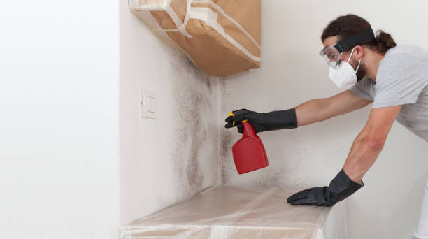 Attic Mold Remediation treatment on roof deck in Sea Girt