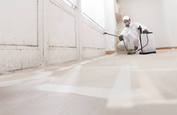 Black mold remediation team in Sea Girt